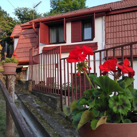 Hotel Szonyi Uti Vendeghaz Zebegény Zewnętrze zdjęcie