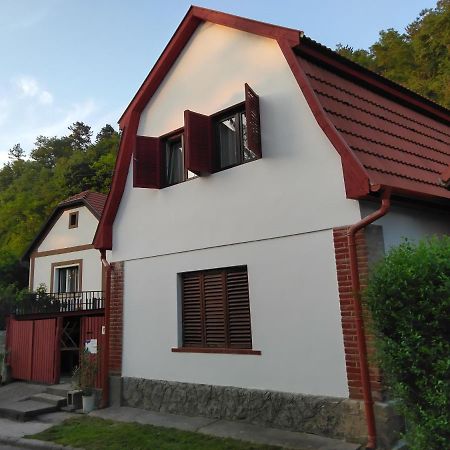 Hotel Szonyi Uti Vendeghaz Zebegény Zewnętrze zdjęcie