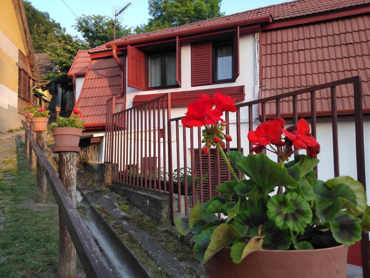 Hotel Szonyi Uti Vendeghaz Zebegény Zewnętrze zdjęcie
